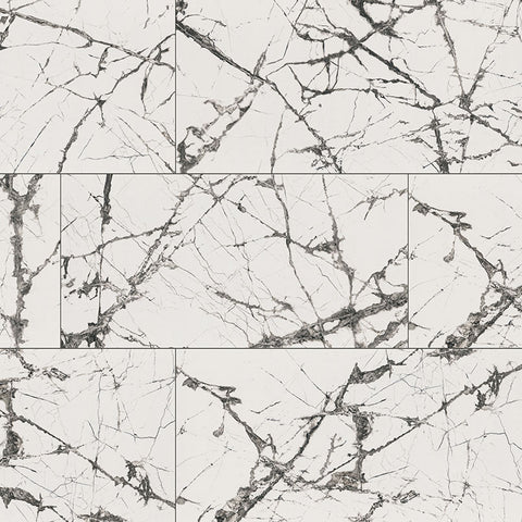 MSI Exotika Lux Iceberg 24x48 Polished