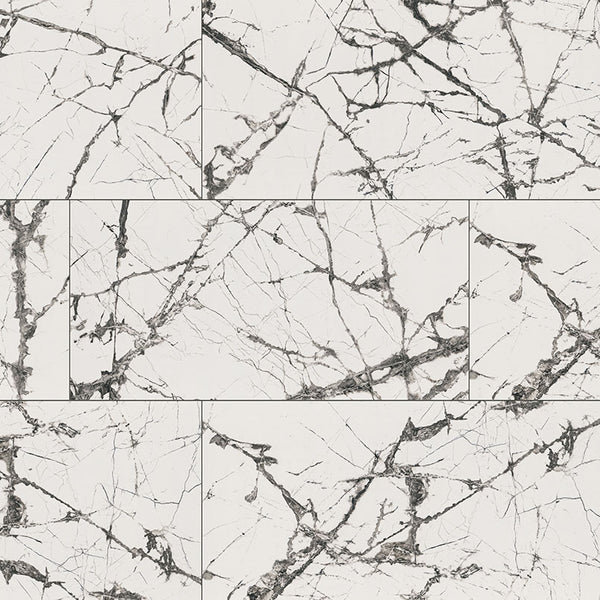 MSI Exotika Lux Iceberg 24x48 Polished