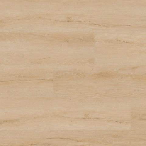 MSI Nove Plus Fallonton Luxury Vinyl Plank Flooring
