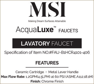 MSI 1 Handle Bathroom Faucet — surface detail in natural tonality
