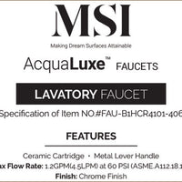 MSI 1 Handle Bathroom Faucet — surface detail in natural tonality