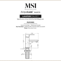 MSI 1 Handle Bathroom Faucet — surface detail in black tonality