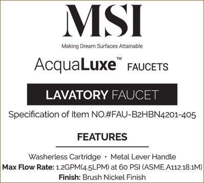 MSI 2 Handle Bathroom Faucet — surface detail in natural tonality