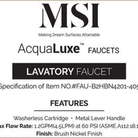 MSI 2 Handle Bathroom Faucet — surface detail in natural tonality