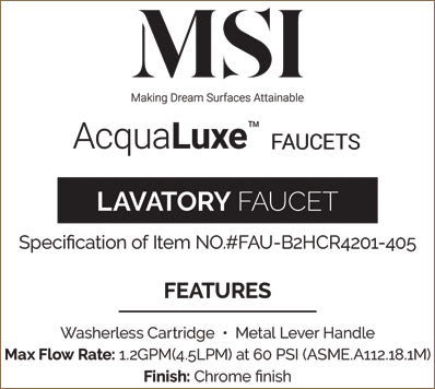 MSI 2 Handle Bathroom Faucet — surface detail in natural tonality
