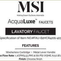MSI 2 Handle Bathroom Faucet — surface detail in natural tonality