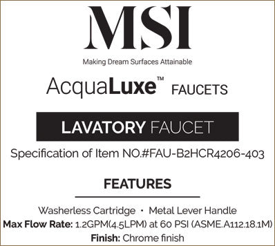 MSI 2 Handle Bathroom Faucet — surface detail in natural tonality