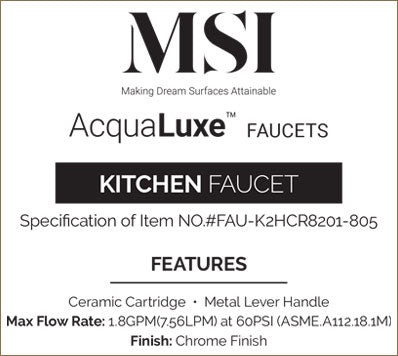 MSI 2-Handle Kitchen Faucet — surface detail in natural tonality