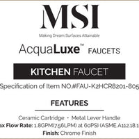 MSI 2-Handle Kitchen Faucet — surface detail in natural tonality