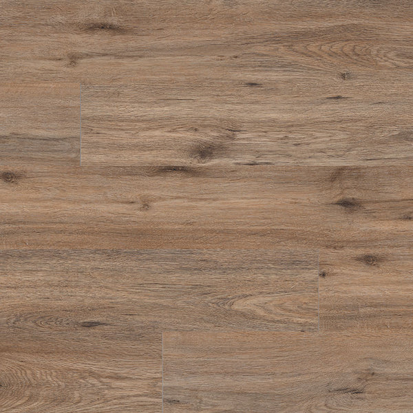 MSI Cyrus 2.0 Fauna Luxury Vinyl Plank Flooring