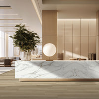 MSI Laurel Flaxen Luxury Vinyl Plank Flooring — surface detail in natural tonality