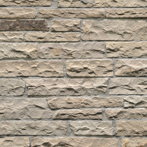 MSI Fossil Rustic Rockmount Veneers