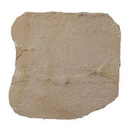 Fossil Rustic Stepping Stone