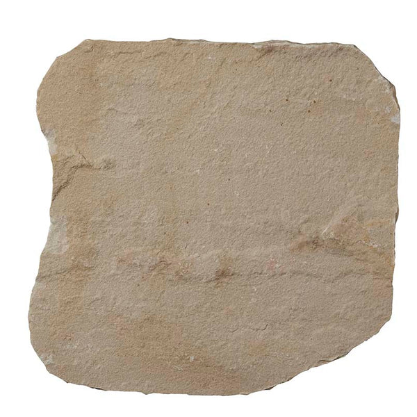 MSI Fossil Rustic Stepping Stone
