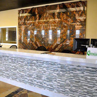 MSI Fusion Granite — surface detail in natural tonality factory-finished eased edge ready for install