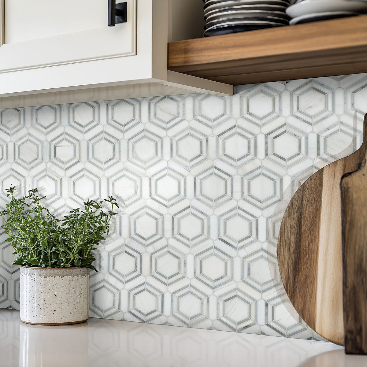 MSI Bianco Dolomite Georama Grigio Polished Marble Tile — surface detail in natural tonality
