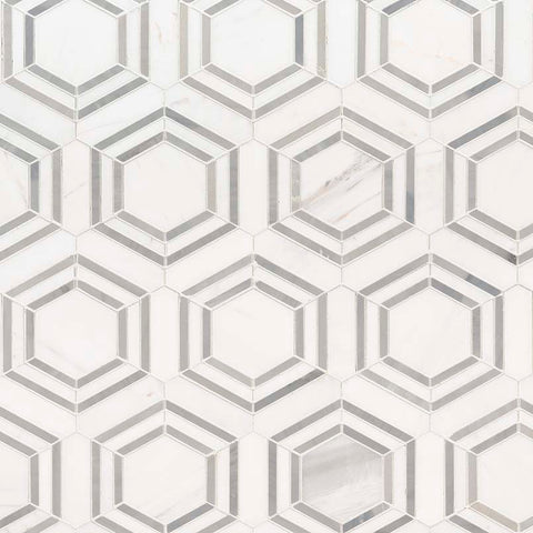 MSI Bianco Dolomite Georama Grigio Polished Marble Tile