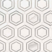 MSI Bianco Dolomite Georama Grigio Polished Marble Tile — Natural Stone Mosaic