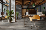 MSI Glenridge Coastal Mix Luxury Vinyl Plank Flooring