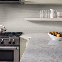 MSI Domino Gray Glossy Penny Round Mosaic — surface detail in gray tonality