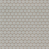 MSI Domino Gray Glossy Penny Round Mosaic