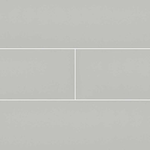 MSI Domino Gray Glossy Subway Tile 4x16