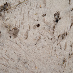 GRAY NUEVO GRANITE