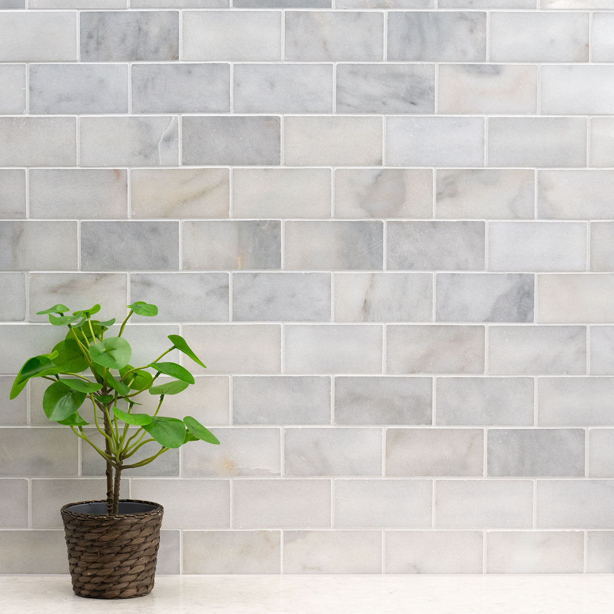 MSI Greecian White Marble Subway Tile 3x6 — surface detail in white tonality