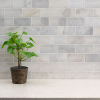 MSI Greecian White Marble Subway Tile 3x6 — surface detail in white tonality