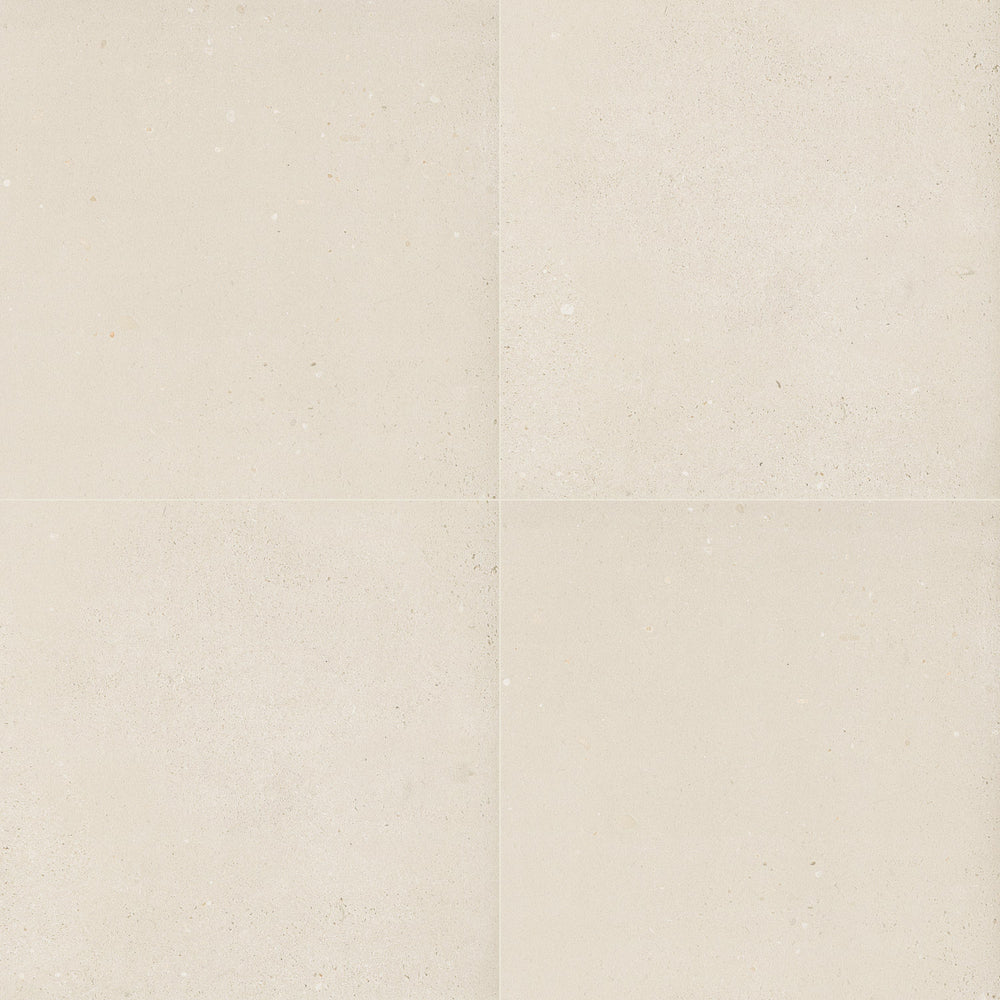 MSI Gritzo Salt Porcelain Paver 20mm exterior porcelain paver freeze-thaw stable