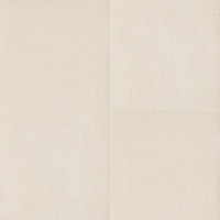 MSI Gritzo Salt Porcelain Paver 20mm exterior porcelain paver freeze-thaw stable