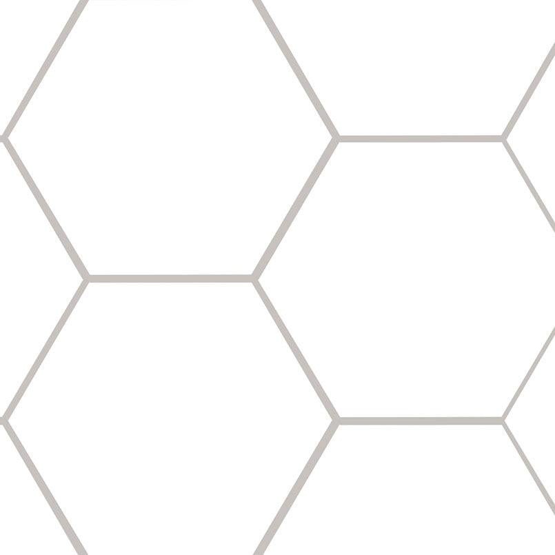 MSI Hexley Ecru Hexagon Tile — Porcelain Wall Tile 9x10 matte