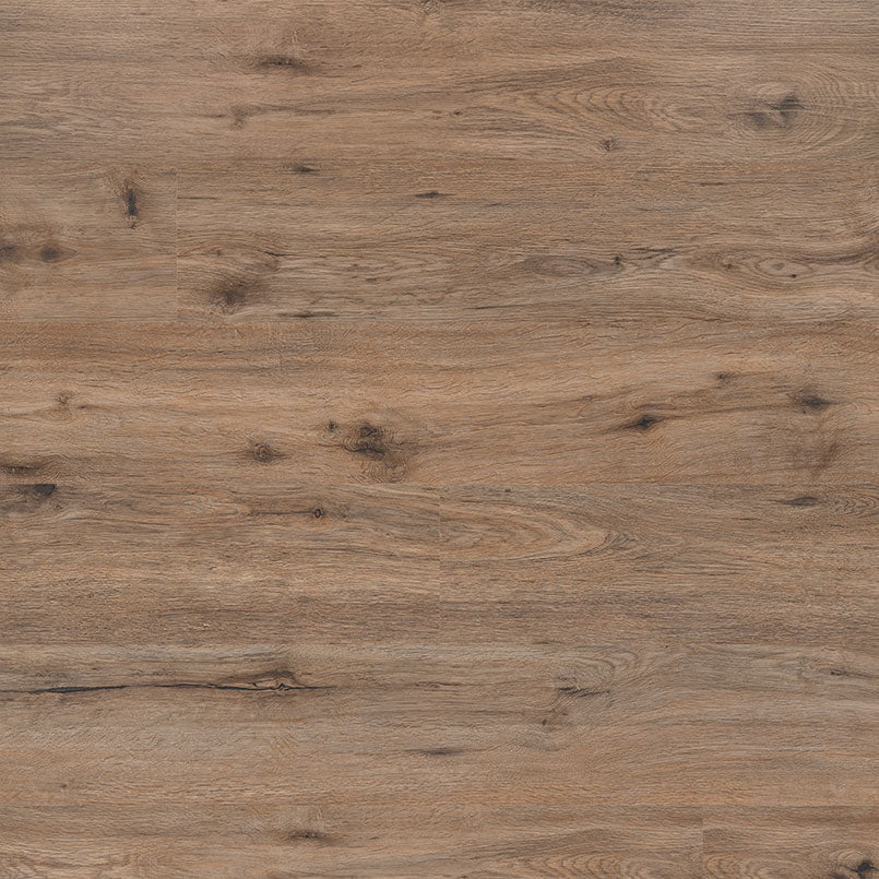 MSI Kallum Fauna Luxury Vinyl Plank Flooring