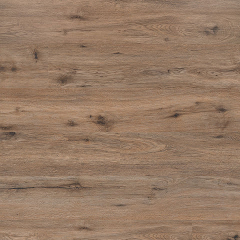 MSI Kallum Fauna Luxury Vinyl Plank Flooring
