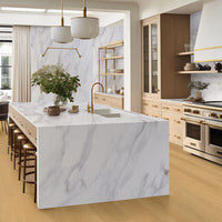 MSI Laurel Reserve Selbourne Luxury Vinyl Plank Flooring — surface detail in natural tonality