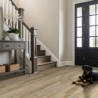 MSI Katavia Lime Washed Oak Luxury Vinyl Plank Flooring — surface detail in natural tonality