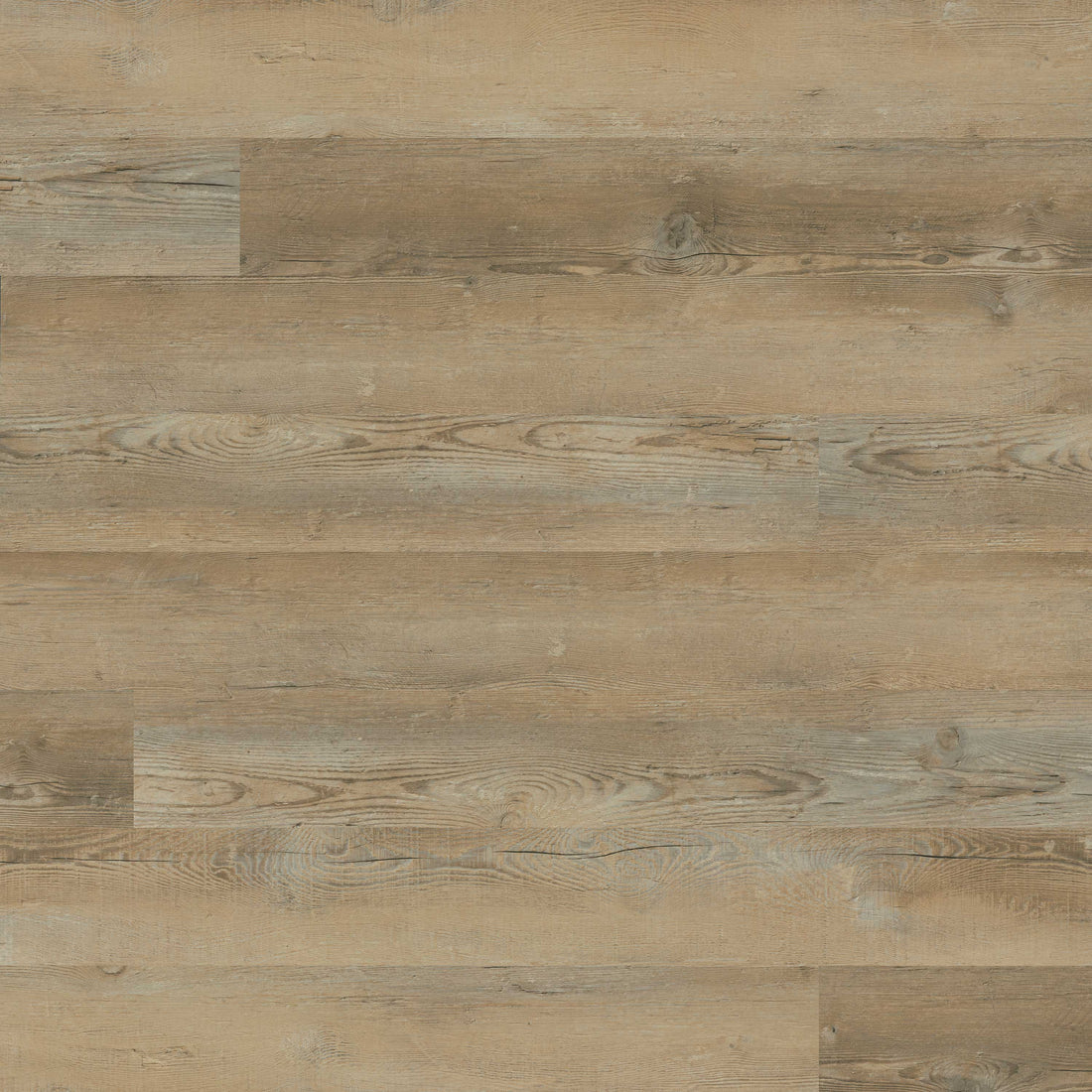 MSI Katavia Lime Washed Oak Luxury Vinyl Plank Flooring