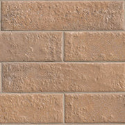 Mattonella Cotto 2.5X10
