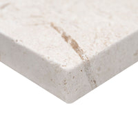MSI Mayra White Limestone Paver — surface detail in white tonality