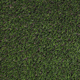 MSI Meadow Green Pet Turf 91 Turf