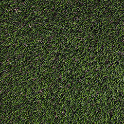 Evergrass Meadow Green Pet-Turf 91