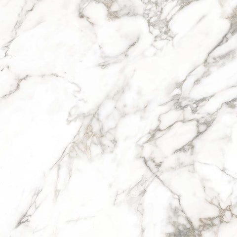 MSI Arabascato Visio - Glazed Porcelain Slab
