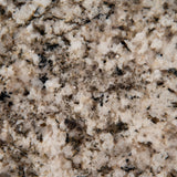 MSI Arctic Sand - Granite Slab