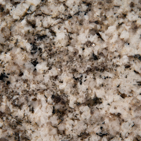 MSI Arctic Sand - Granite Slab