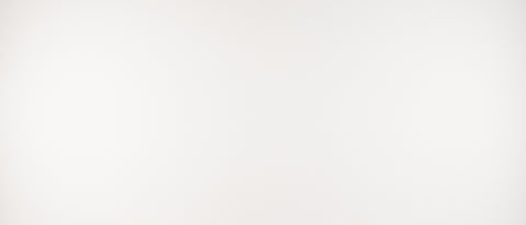MSI Arctic White - Quartz Slab