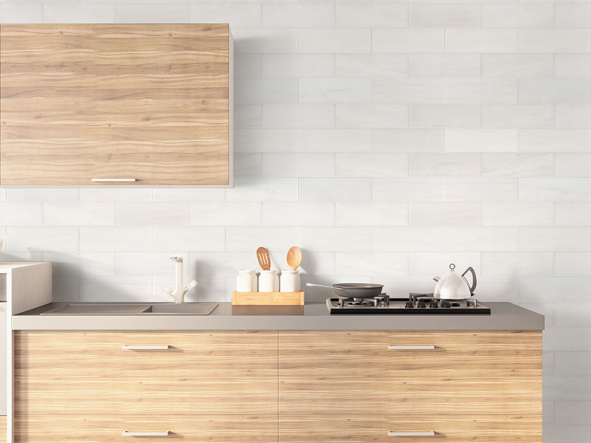 MSI Bianco Dolomite Polished Subway Tile 4x12 — surface detail in natural tonality