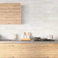 MSI Bianco Dolomite Polished Subway Tile 4x12 — surface detail in natural tonality