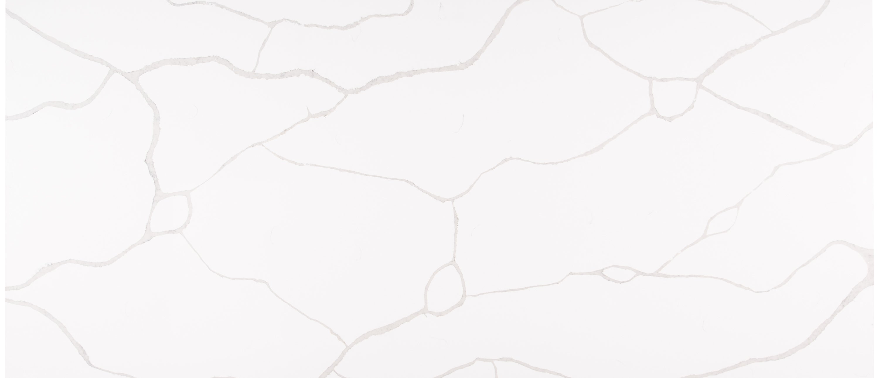 MSI Calacatta Classique Engineered Quartz Slab | Citadel Spaces