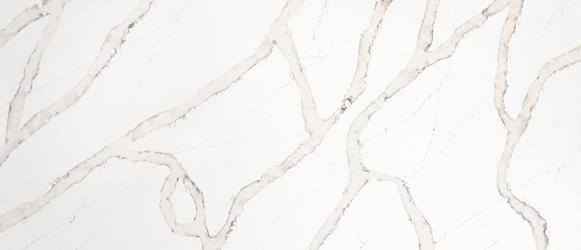 MSI Calacatta Goa, Engineered Quartz Slab engineered slab for kitchen and feature install