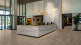 MSI Cyrus Cranton Luxury Vinyl Plank Flooring
